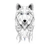 Tatouage Loup Dentelle