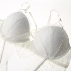 Bodie Dentelle -Universdentelle BodieDentelle 2