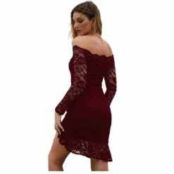 Robe Manches Dentelle -Universdentelle RobeManchesDentelle 1